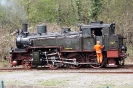74 231 (16.04.2010)